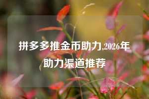 拼多多推金币助力,2026年助力渠道推荐