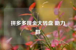 拼多多现金大转盘 助力群