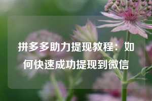 拼多多助力提现教程：如何快速成功提现到微信
