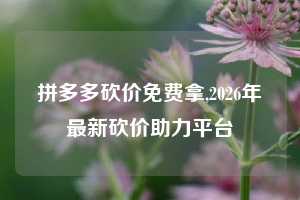 拼多多砍价免费拿,2026年最新砍价助力平台