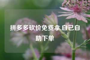 拼多多砍价免费拿,自己自助下单