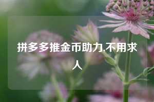 拼多多推金币助力,不用求人