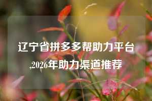 辽宁省拼多多帮助力平台,2026年助力渠道推荐