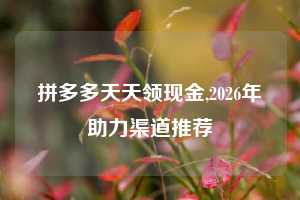 拼多多天天领现金,2026年助力渠道推荐
