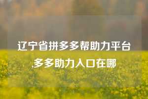 辽宁省拼多多帮助力平台,多多助力入口在哪