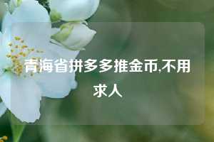 青海省拼多多推金币,不用求人