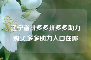 辽宁省拼多多拼多多助力购买,多多助力入口在哪