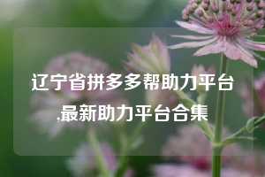 辽宁省拼多多帮助力平台,最新助力平台合集