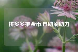 拼多多推金币,自助刷助力