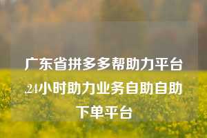 广东省拼多多帮助力平台,24小时助力业务自助自助下单平台