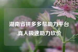 湖南省拼多多帮助力平台,真人极速助力砍价