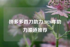 拼多多首刀助力,2026年助力渠道推荐