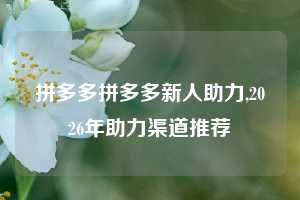 拼多多拼多多新人助力,2026年助力渠道推荐