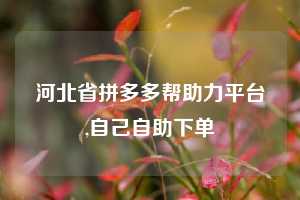 河北省拼多多帮助力平台,自己自助下单