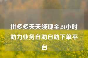 拼多多天天领现金,24小时助力业务自助自助下单平台