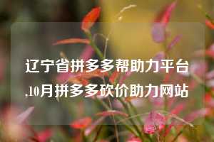 辽宁省拼多多帮助力平台,10月拼多多砍价助力网站