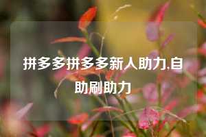 拼多多拼多多新人助力,自助刷助力