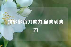 拼多多首刀助力,自助刷助力