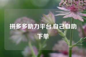 拼多多助力平台,自己自助下单