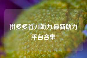 拼多多首刀助力,最新助力平台合集