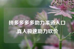 拼多多多多助力渠道入口,真人极速助力砍价