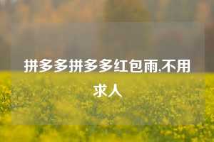 拼多多拼多多红包雨,不用求人