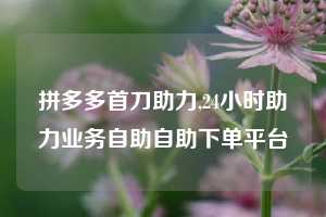 拼多多首刀助力,24小时助力业务自助自助下单平台