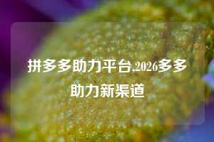 拼多多助力平台,2026多多助力新渠道