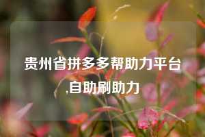 贵州省拼多多帮助力平台,自助刷助力