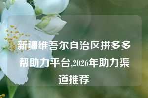 新疆维吾尔自治区拼多多帮助力平台,2026年助力渠道推荐