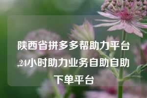 陕西省拼多多帮助力平台,24小时助力业务自助自助下单平台