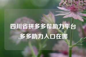 四川省拼多多帮助力平台,多多助力入口在哪