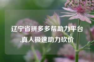 辽宁省拼多多帮助力平台,真人极速助力砍价
