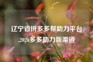 辽宁省拼多多帮助力平台,2026多多助力新渠道