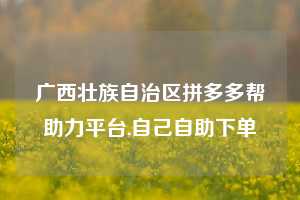 广西壮族自治区拼多多帮助力平台,自己自助下单