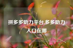 拼多多助力平台,多多助力入口在哪