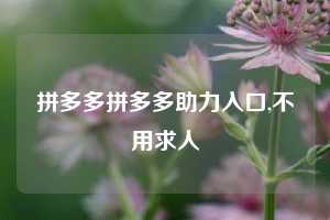 拼多多拼多多助力入口,不用求人