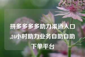 拼多多多多助力渠道入口,24小时助力业务自助自助下单平台