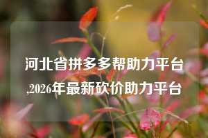河北省拼多多帮助力平台,2026年最新砍价助力平台