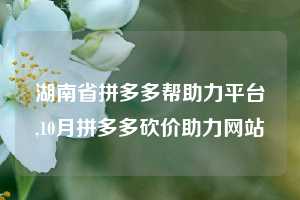 湖南省拼多多帮助力平台,10月拼多多砍价助力网站