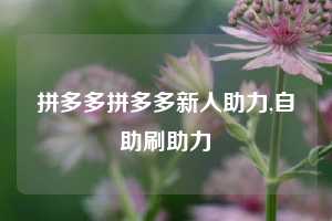 拼多多拼多多新人助力,自助刷助力