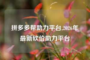 拼多多帮助力平台,2026年最新砍价助力平台