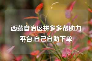 西藏自治区拼多多帮助力平台,自己自助下单