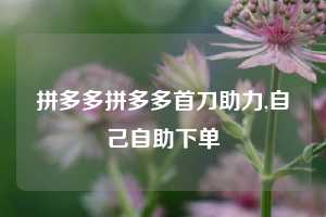 拼多多拼多多首刀助力,自己自助下单