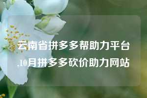 云南省拼多多帮助力平台,10月拼多多砍价助力网站
