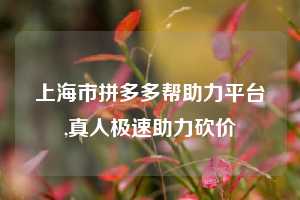 上海市拼多多帮助力平台,真人极速助力砍价