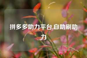 拼多多助力平台,自助刷助力