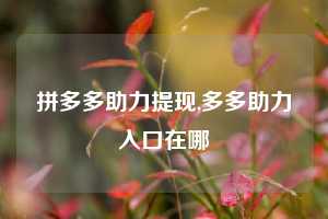 拼多多助力提现,多多助力入口在哪