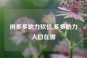 拼多多助力砍价,多多助力入口在哪