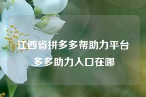 江西省拼多多帮助力平台,多多助力入口在哪